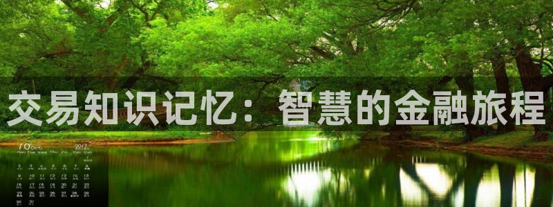 《抢来的新娘》小说阅读：交易知识记忆：智慧的金融旅程