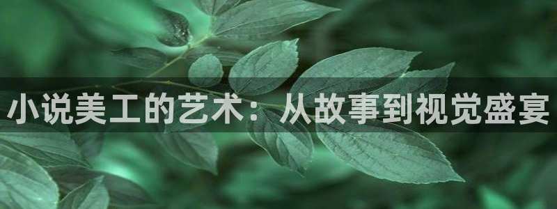 第四书包网辣文小说阅读软件：小说美工的艺术：从故事到视觉盛宴